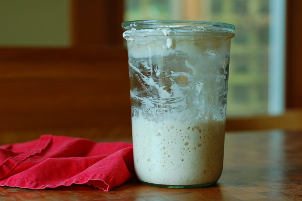 Sadie the Sourdough Starter