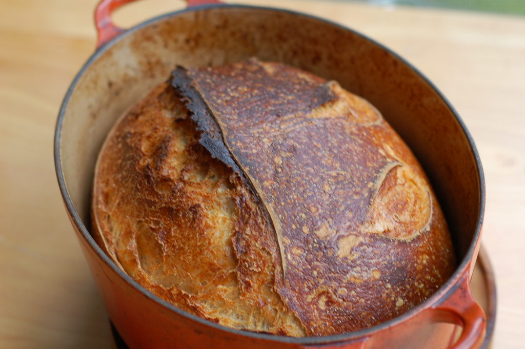 sourdough artisan bread in le creuset