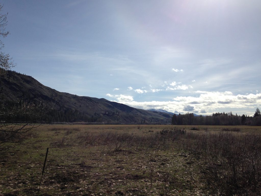 Methow view