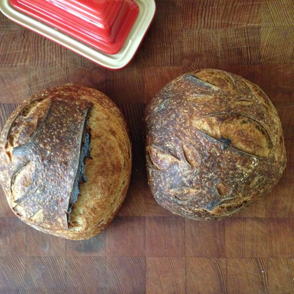 Two sourdough loaves