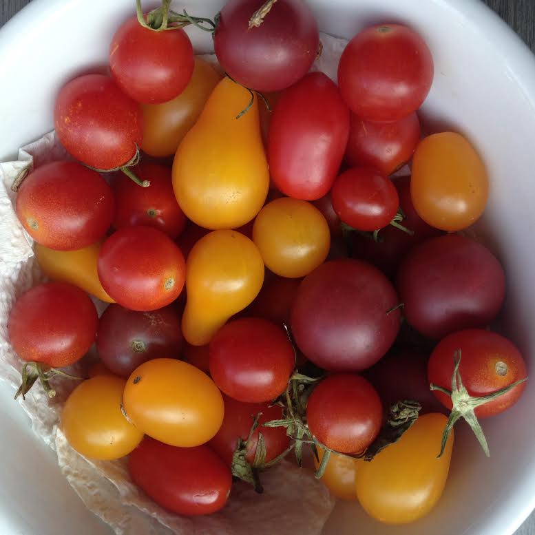 Heirloom cherry tomatoes