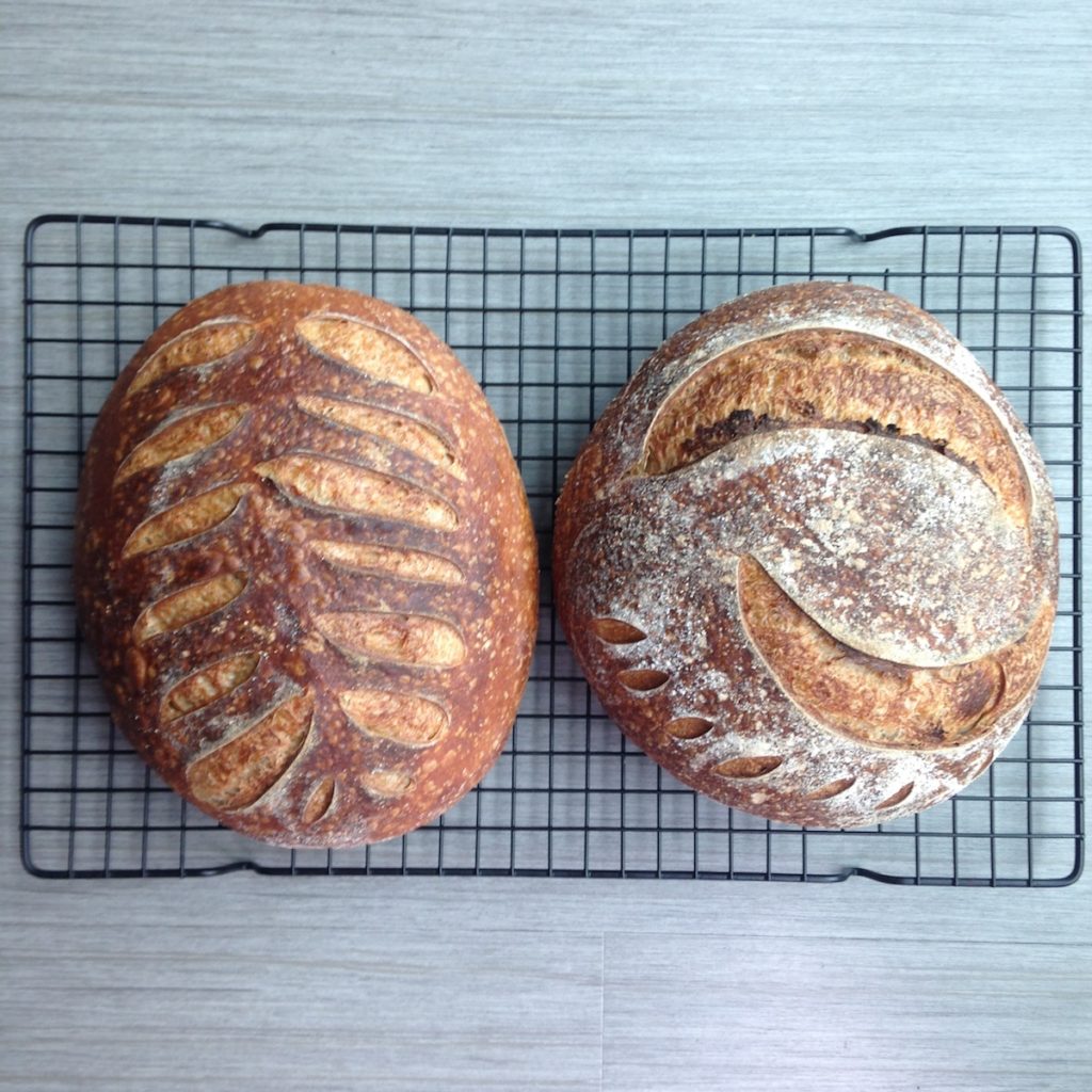 Sourdough loaves