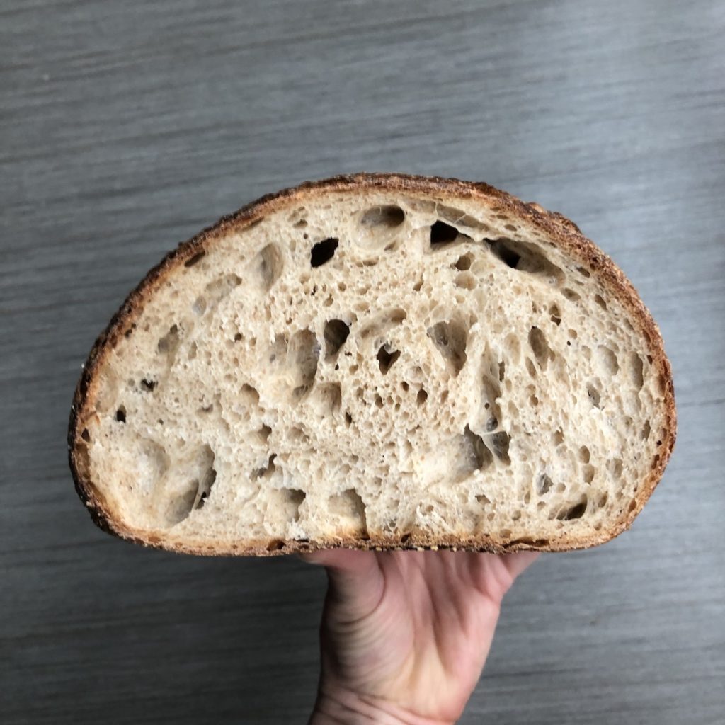 perfect artisan sourdough bread crumb